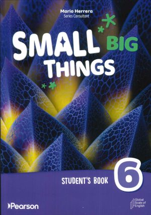 SMALL BIG THINGS STUDENT BOOK LEVEL 6 + WELLBING JOURNAL