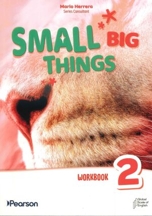 SMALL BIG THINGS WORKBOOK LEVEL 2