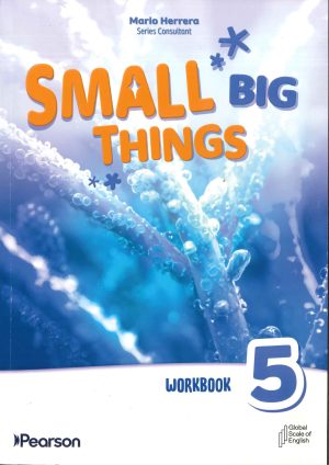 SMALL BIG THINGS WORKBOOK LEVEL 5
