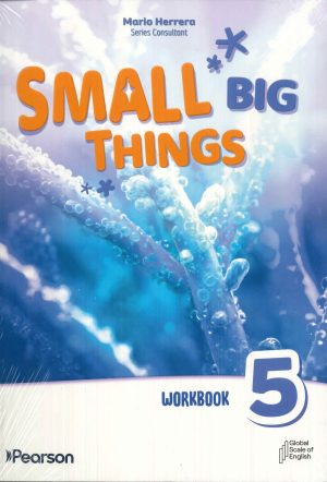 SMALL BIG THINGS WORKBOOK LEVEL 5