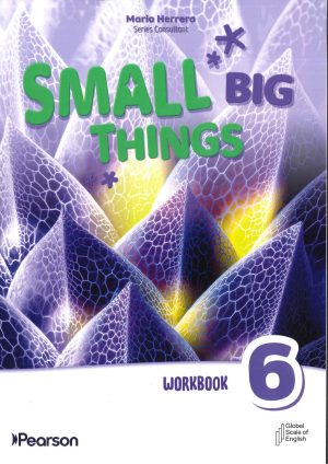 SMALL BIG THINGS WORKBOOK LEVEL 6