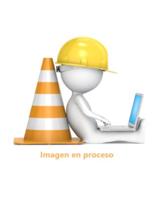 WORKBOOK -1- SMALL BIG THINGS FIRST EDITION EDITORIAL PEARSON EDUCACION DE COLOMBIA